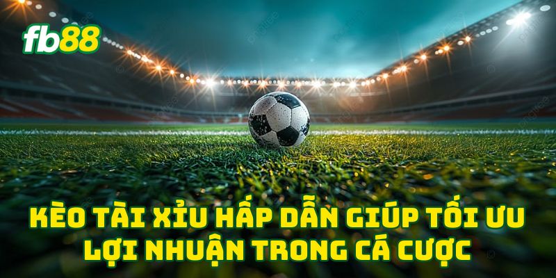 Kèo Tài Xỉu hấp dẫn giúp tối ưu lợi nhuận trong cá cược