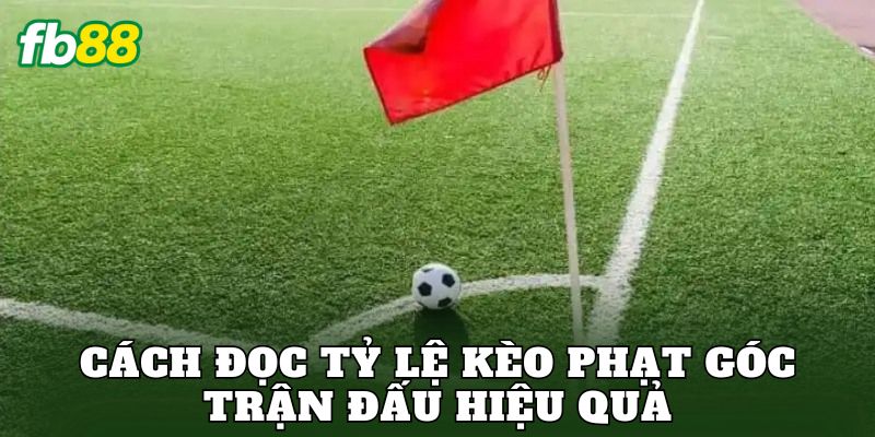 Kèo Phạt Góc Trận Đấu Và Cách Đọc Tỷ Lệ Chuẩn Xác 2 Cách đọc tỷ lệ kèo phạt góc trận đấu hiệu quả