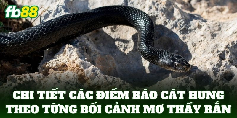 Nằm Mơ Thấy Rắn Bò - FB88 Bật Mí Bí Ẩn Các Con Số Đẹp 2 Chi tiết các điềm báo cát hung theo từng bối cảnh mơ thấy rắn
