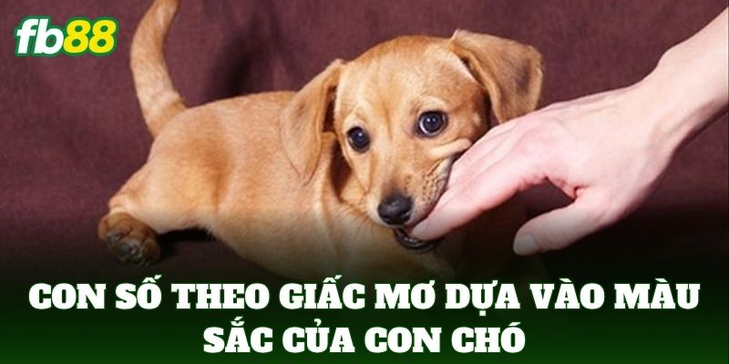 Nằm Mơ Thấy Chó Cắn - Giải Mã Điềm Báo Và Con Số Chuẩn 100% 3 Con số theo giấc mơ dựa vào màu sắc của con chó