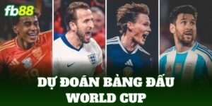 Dự Đoán Bảng Đấu World Cup 2026