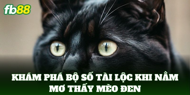 Nằm Mơ Thấy Mèo Đen - Giải Mã Hiện Tượng Và Số Đề May Mắn 3 Khám phá bộ số tài lộc khi Nằm Mơ Thấy Mèo Đen