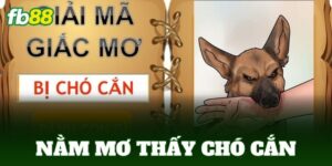 nam mo thay cho can