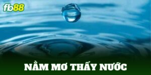nam mo thay nuoc