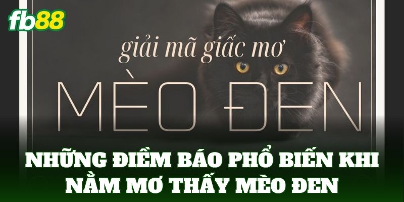 Nằm Mơ Thấy Mèo Đen - Giải Mã Hiện Tượng Và Số Đề May Mắn 1 Những điềm báo phổ biến khi Nằm Mơ Thấy Mèo Đen