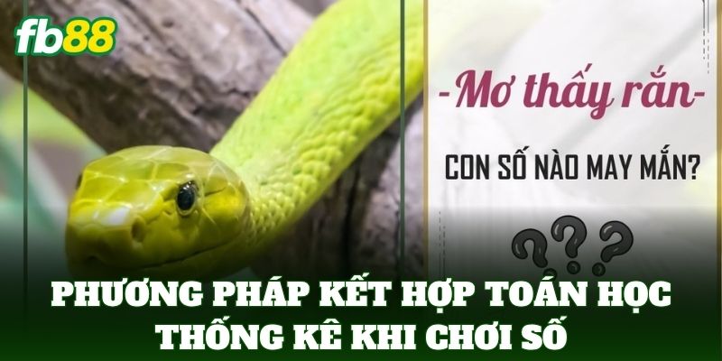 Nằm Mơ Thấy Rắn Bò - FB88 Bật Mí Bí Ẩn Các Con Số Đẹp 3 Phương pháp kết hợp toán học thống kê khi chơi số