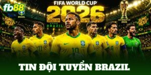 tin doi tuyen brazil