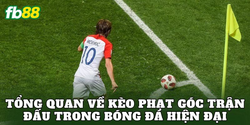 Kèo Phạt Góc Trận Đấu Và Cách Đọc Tỷ Lệ Chuẩn Xác 1 Tổng quan về kèo phạt góc trận đấu trong bóng đá hiện đại