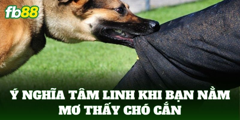 Nằm Mơ Thấy Chó Cắn - Giải Mã Điềm Báo Và Con Số Chuẩn 100% 1 Ý nghĩa tâm linh khi bạn Nằm Mơ Thấy Chó Cắn
