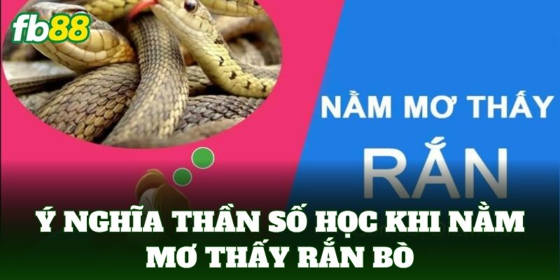 Nằm Mơ Thấy Rắn Bò - FB88 Bật Mí Bí Ẩn Các Con Số Đẹp 1 Ý nghĩa thần số học khi Nằm Mơ Thấy Rắn Bò