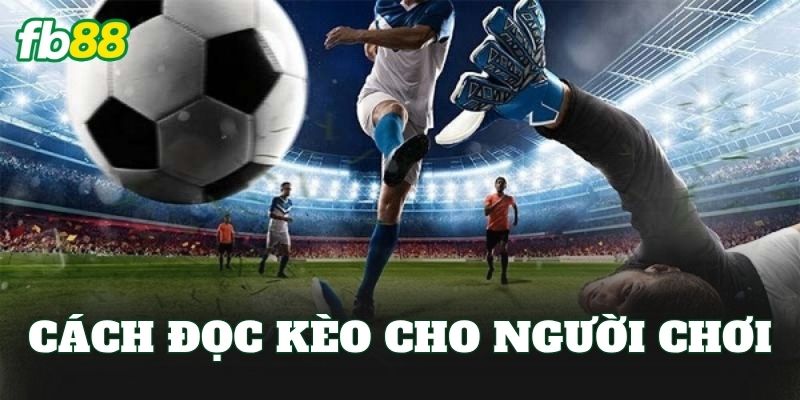 Kèo Đội Dứt Điểm Nhiều Nhất: Phân Tích Và Cách Đọc Kèo 2 Cách đọc kèo cho người chơi