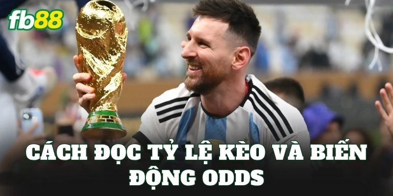 Kèo Cầu Thủ Xuất Sắc Nhất Và Cách Đọc Kèo Chuẩn Xác 3 Cách đọc tỷ lệ kèo và biến động odds
