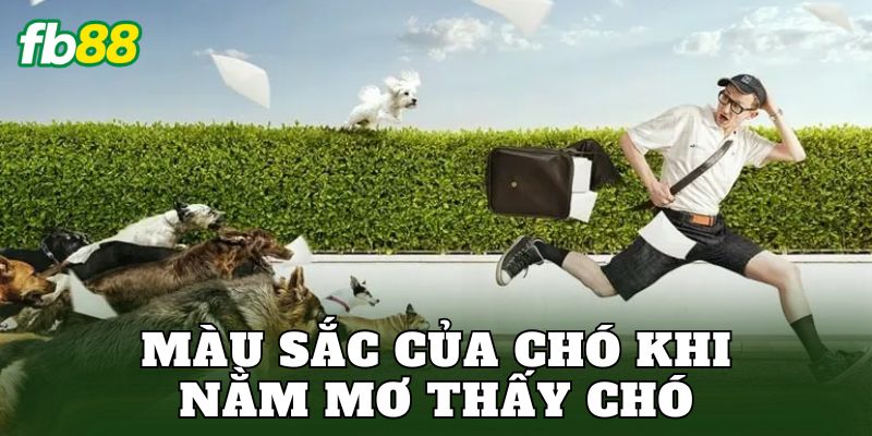 Nằm Mơ Thấy Chó Báo Hiệu Gì Trong Cuộc Sống Hiện Nay 3 Màu sắc của chó khi nằm mơ thấy chó