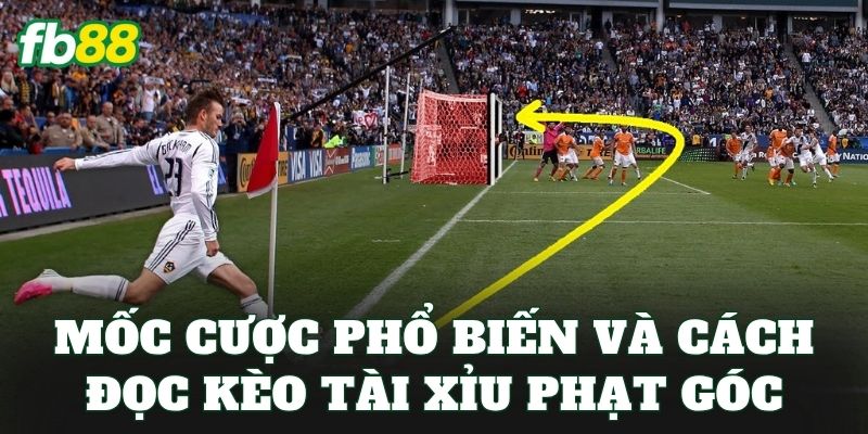 Kèo Tài Xỉu Phạt Góc Là Gì? Cách Chơi Hiệu Quả 2 Mốc cược phổ biến và cách đọc kèo tài xỉu phạt góc
