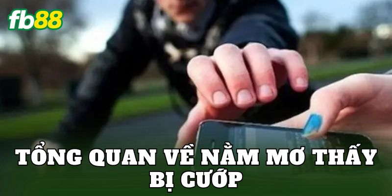 Giải Mã Nằm Mơ Thấy Bị Cướp Và Điềm Báo Thực Tế 1 Tổng quan về nằm mơ thấy bị cướp