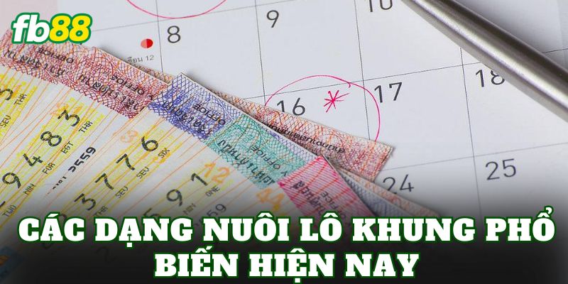 Nuôi Lô Khung Là Gì? Cách Theo Dõi Khung Số Hiệu Quả 2 Các dạng nuôi lô khung phổ biến hiện nay