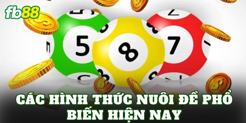 Nuôi Đề Là Gì? Phân Tích Cách Chơi Và Rủi Ro 2 Các hình thức nuôi đề phổ biến hiện nay