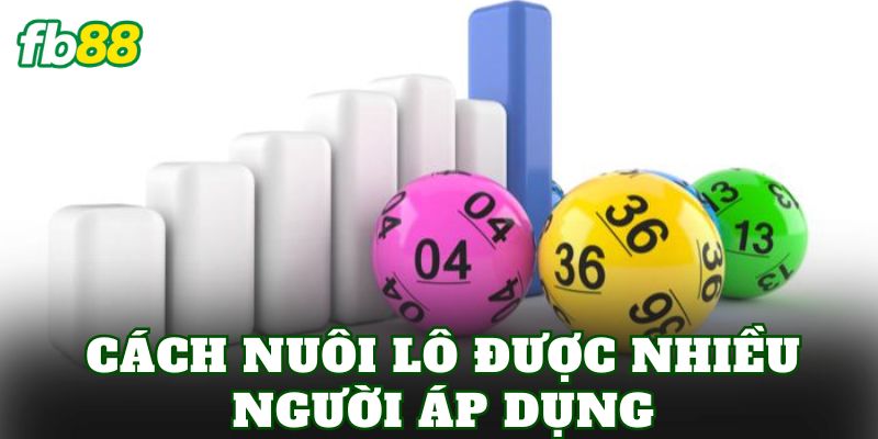 Nuôi Lô Là Gì? Cách Nuôi Lô Khung Hiệu Quả Hiện Nay 2 Cách nuôi lô được nhiều người áp dụng