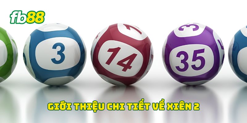 Xiên 2 - Cách Tính Tiền Thưởng Và Lưu Ý Dành Cho Người Mới 1 Giới thiệu chi tiết về Xiên 2