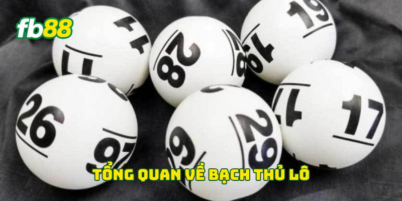 Bạch Thủ Lô Là Gì? Cách Chọn Số Và Quản Lý Vốn An Toàn 1 Tổng quan về bạch thủ lô