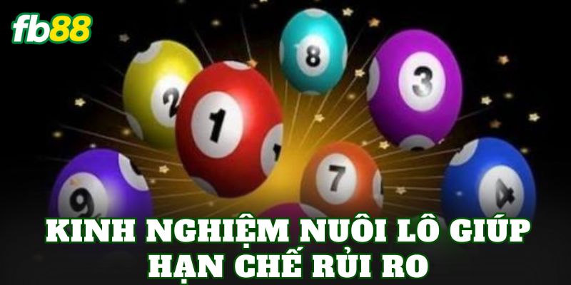 Nuôi Lô Là Gì? Cách Nuôi Lô Khung Hiệu Quả Hiện Nay 3 Kinh nghiệm nuôi lô giúp hạn chế rủi ro