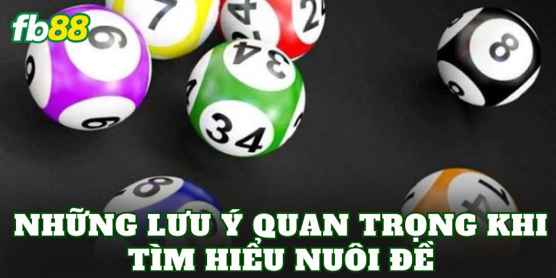 Nuôi Đề Là Gì? Phân Tích Cách Chơi Và Rủi Ro 3 Những lưu ý quan trọng khi tìm hiểu nuôi đề