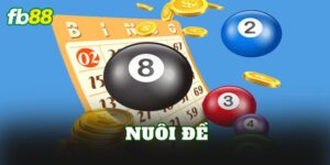 Nuôi Đề