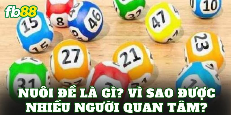 Nuôi Đề Là Gì? Phân Tích Cách Chơi Và Rủi Ro 1 Nuôi đề là gì? Vì sao được nhiều người quan tâm?