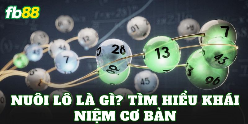 Nuôi Lô Là Gì? Cách Nuôi Lô Khung Hiệu Quả Hiện Nay 1 Nuôi lô là gì? Tìm hiểu khái niệm cơ bản