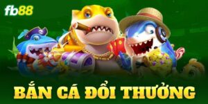 ban ca doi thuong