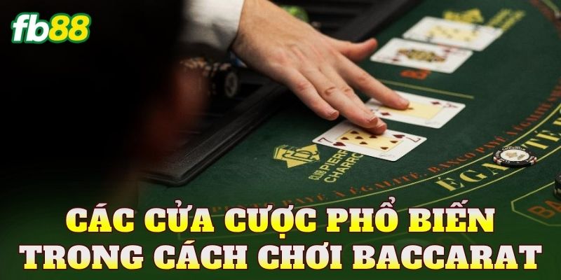 Cách Chơi Baccarat Chi Tiết Cho Người Mới Dễ Hiểu 3 Các cửa cược phổ biến trong cách chơi Baccarat