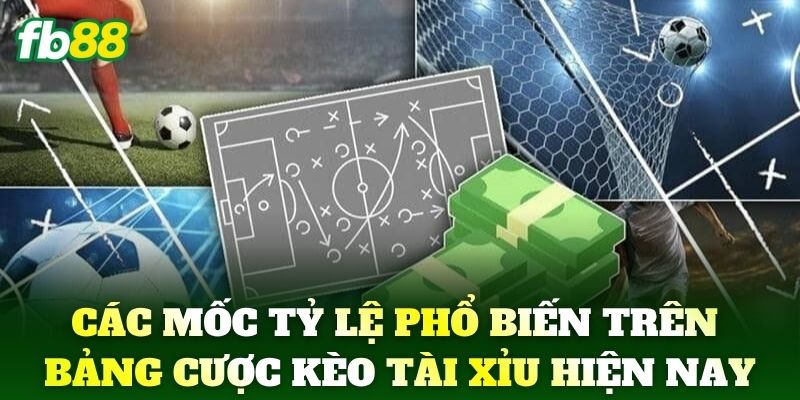 Kèo Tài Xỉu FB88: Cập Nhật Tỷ Lệ Bóng Đá Mới Nhất Chuẩn Xác 2 Các mốc tỷ lệ phổ biến trên bảng cược Kèo Tài Xỉu hiện nay