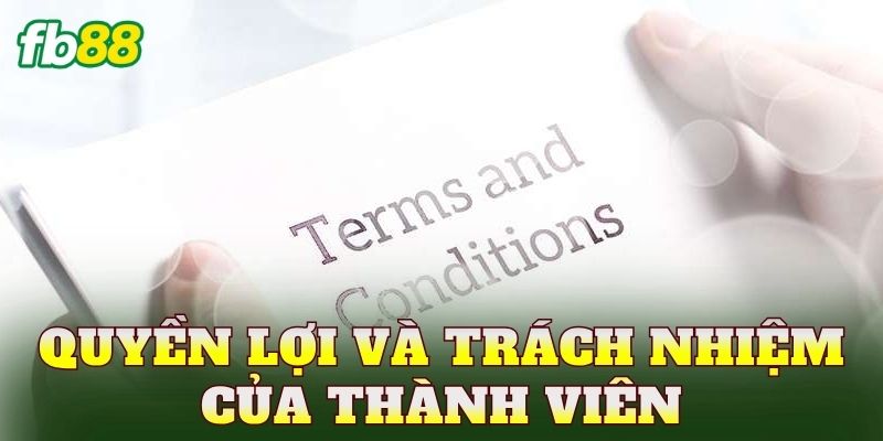 Điều Kiện Điều Khoản FB88 3 Quyền lợi và trách nhiệm của thành viên