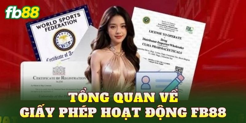 Giấy Phép Hoạt Động FB88 1 Tổng quan về giấy phép hoạt động FB88