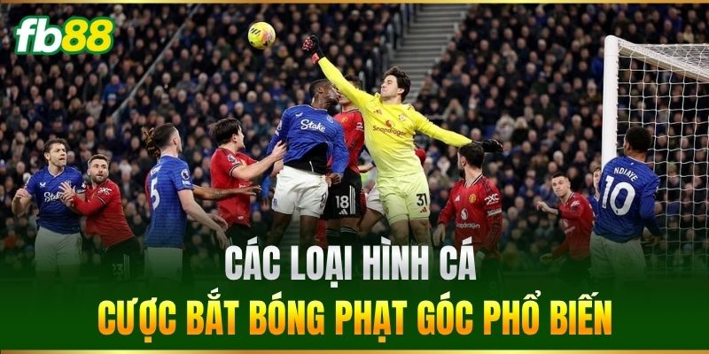 Cược Số Lần Thủ Môn Bắt Bóng Từ Tình Huống Phạt Góc Tại FB88 2 Các loại hình cá cược bắt bóng phạt góc phổ biến