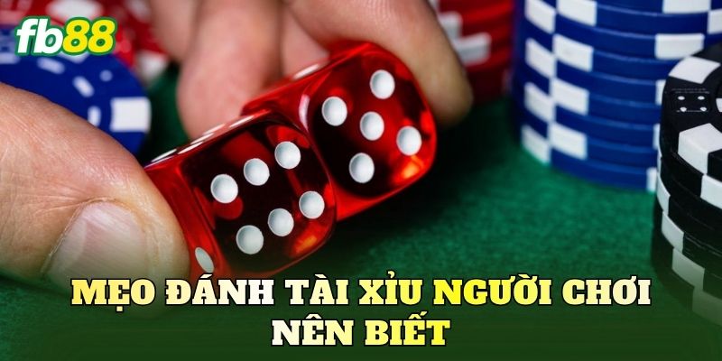 Mẹo Đánh Tài Xỉu Bất Bại: Cách Soi Cầu Bao Trúng 100% 2 Mẹo đánh tài xỉu người chơi nên biết