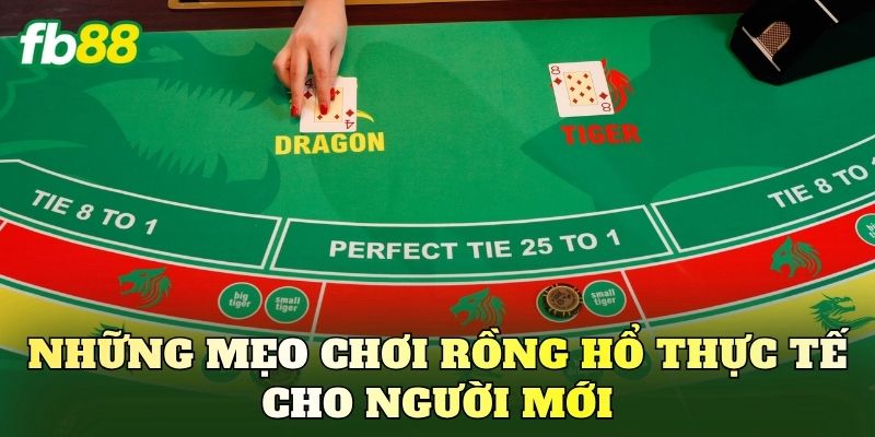 Top 7 Mẹo Chơi Rồng Hổ Luôn Thắng Từ Cao Thủ Đặt Cược 2 Những mẹo chơi Rồng Hổ thực tế cho người mới