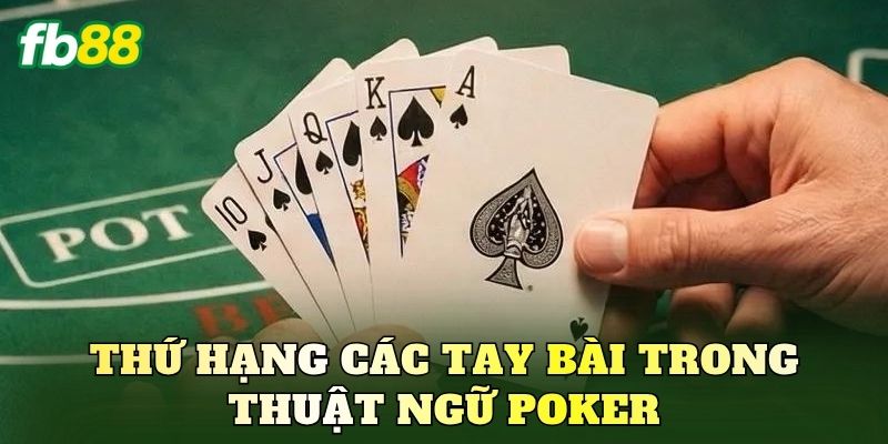 Tổng Hợp Top Thuật Ngữ Poker Cơ Bản Mới Nhất Cần Biết 3 Thứ hạng các tay bài trong thuật ngữ Poker
