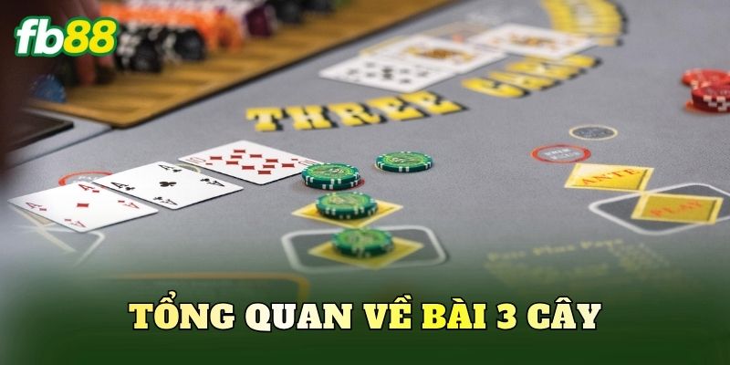 Cách Chơi 3 Cây Luôn Thắng: 5 Mẹo Đặt Cược Từ Cao Thủ 1 Tổng quan về bài 3 cây